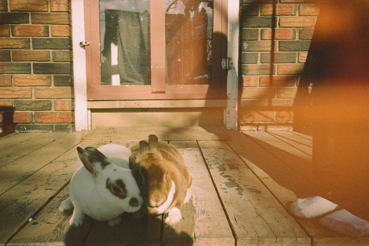 Doubletake — double exposure 10