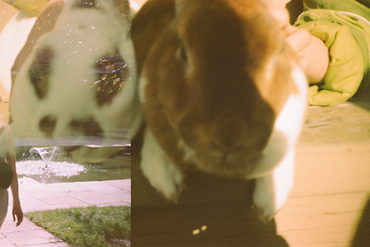 Doubletake — double exposure 3
